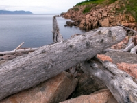 Neils Harbour, Nowa Szkocja